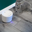 Tellur Smart WiFi Pet Water Dispenser, 2L white-5