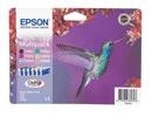 Epson t0807 — illustration complémentaire (Icecat)