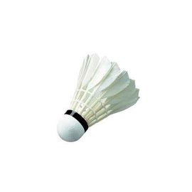 Wish W11 Training Shuttlecock