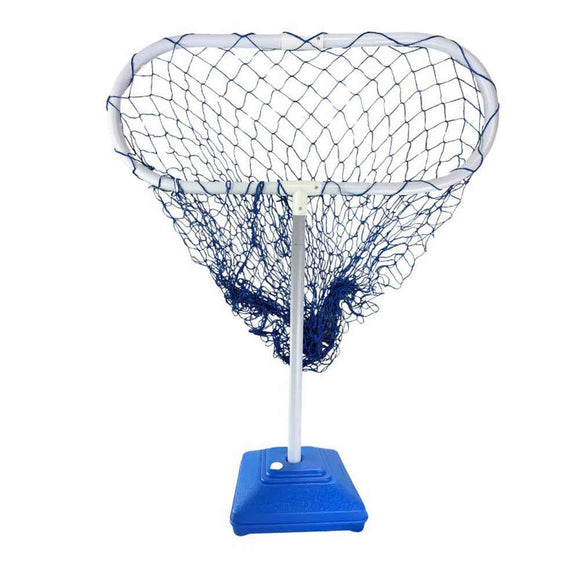 Alliance Air Goal