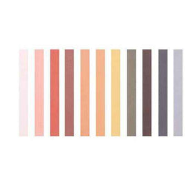 Soft Pastels Skin Tone Colours 12pk