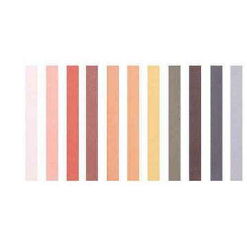 Soft Pastels Skin Tone Colours 12pk