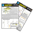 Essential Fishing A4 Quick Handy Guide-14