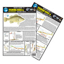 Essential Fishing A4 Quick Handy Guide-7