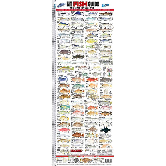 Fish ID Ruler