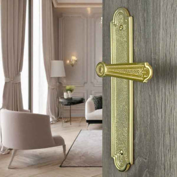 2 poignées de porte sur plaque REGENCE, Sans trou pour pièce à vivre, Finition laiton poli doré, Entraxe standard 195 mm