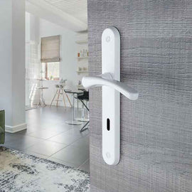 2 poignées de porte sur plaque EVA, Entrée de clé pour chambre, Finition aluminium blanc, Entraxe standard 195 mm
