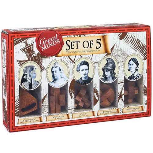 Great Minds Wood & Metal Brainteaser Puzzle 5pcs