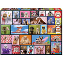 Educa Puzzle Collection 1000pcs-17