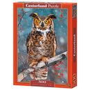 Castorland Classic Puzzle 500pcs-7