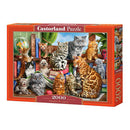 Castorland Classic Puzzle 2000pcs-7
