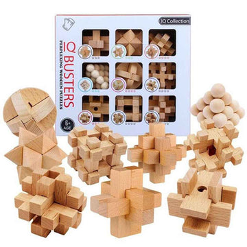 Enjoy IQ Busters 9-Pack Wooden Puzzle