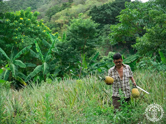 Hamac à barre l deluxe  ticuantepe