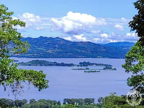 Hamac chaise l  jinotega