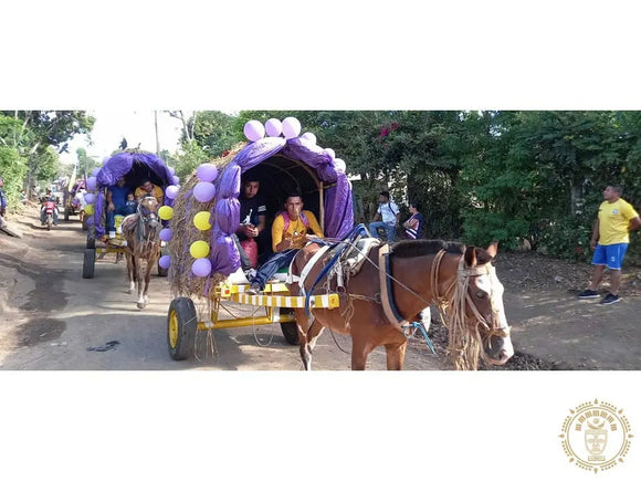 Hamac chaise l  masatepe