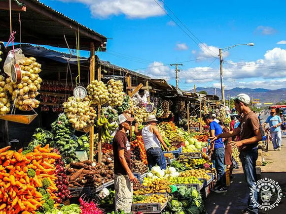 Hamac chaise xl  sébaco
