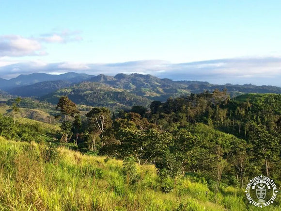 Hamac chaise xl  bosawás