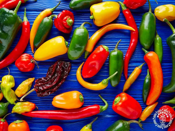 Hamac mexicain xl  chile