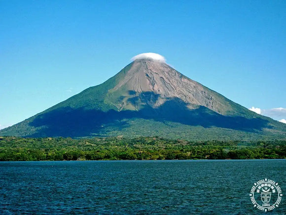 Hamac xl deluxe  momotombo