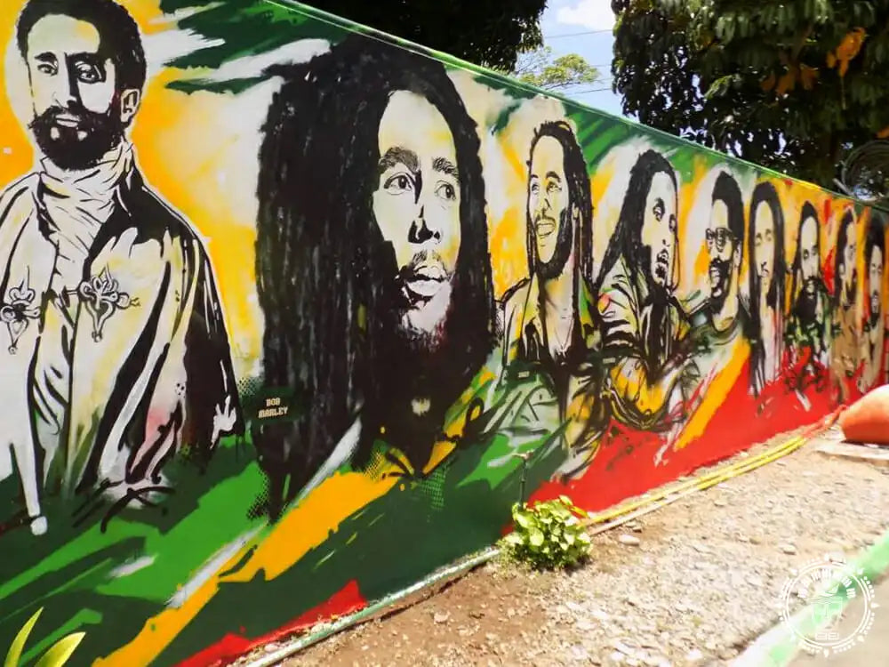 Hamac xl  rasta