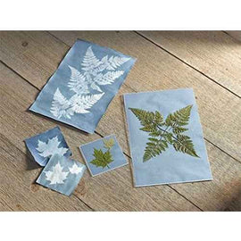 Science & Craft Kit