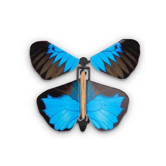 Papillons Australiens Mécaniques