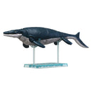 Bandai Plannosaurus Model Kit-4