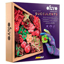 Wood & Craft DIY Succelents