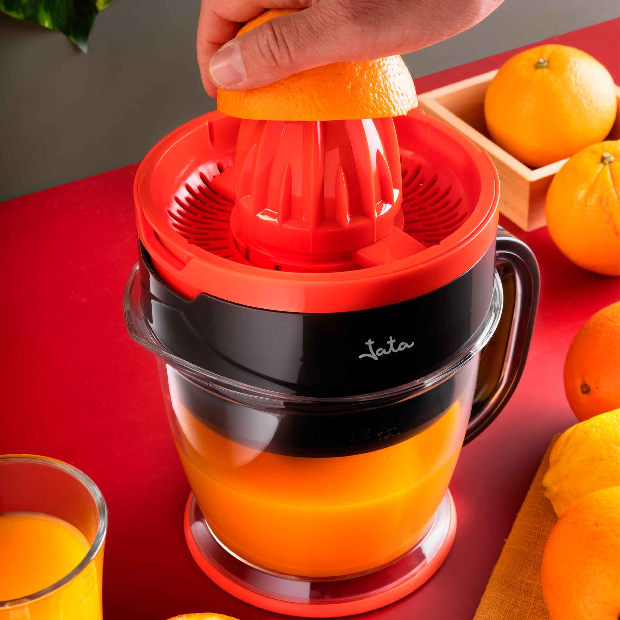 Product Image-3