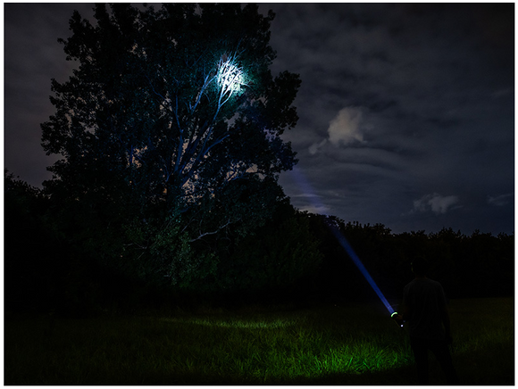 Tracer 46894 Search light 3600mAh Green With Power Bank