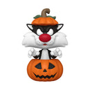 Looney Tunes: Halloween -Sylvester in Pumpkin Pop! Vinyl-1