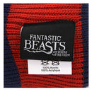 Fantastic Beasts and Where to Find Them MACUSA Slouch Beanie-2
