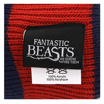 Fantastic Beasts and Where to Find Them MACUSA Slouch Beanie - 0