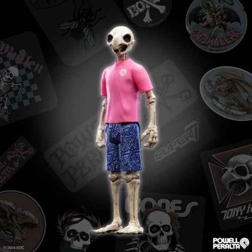 Powell Peralta Tony Hawk