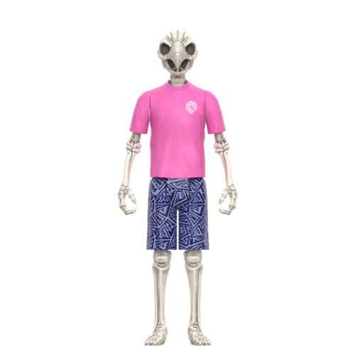 Powell Peralta Tony Hawk