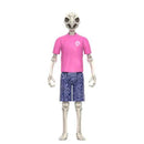 Powell Peralta Tony Hawk
