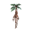 Harry Potter Mandrake Collector Plush