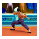 Street Fighter Fei Long (P2) Deluxe 6" Action Figure