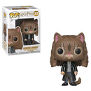 Harry Potter Hermione as Cat Pop! Vinyl-2