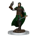 D&D Realms Icons Premium Male-4