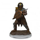 D&D Realms Icons Premium Male-6