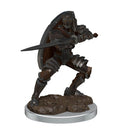 D&D Realms Icons Premium Male-8