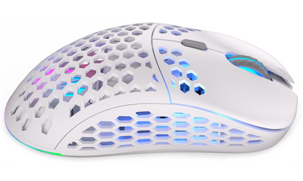 Souris sans fil endorfy lix owh ey6a010 ambidextre rf sans fil + usb type-c optique 16 000 dpi
