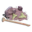 4M KidzLabs Shark Tooth Fossil