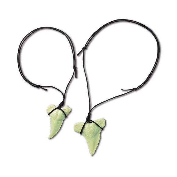 4M KidzLabs Shark Tooth Fossil