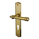 2 poignées de porte ATTILA, Trou de cylindre - entrée - bureau - service, Finition laiton poli doré, Entraxe standard 195 mm