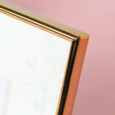 Disney Cinderella & Prince Wedding Frame-2