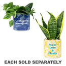 Tie Dye Planter (Medium)-1