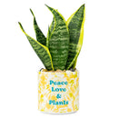 Tie Dye Planter (Medium)-3