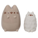 Pusheen & Stormy Salt & Pepper Shaker Set-1